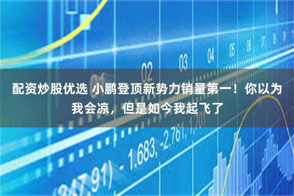 配资炒股优选 小鹏登顶新势力销量第一！你以为我会凉，但是如今我起飞了