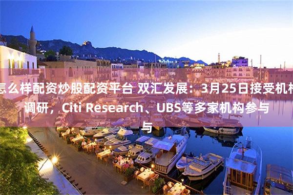 怎么样配资炒股配资平台 双汇发展：3月25日接受机构调研，Citi Research、UBS等多家机构参与