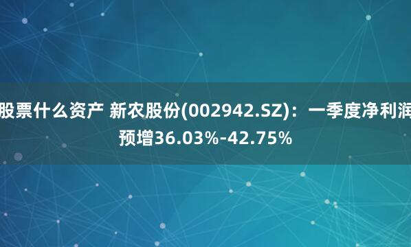 股票什么资产 新农股份(002942.SZ)：一季度净利润预增36.03%-42.75%