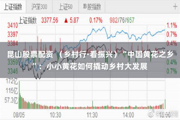 昆山股票配资 （乡村行·看振兴）“中国黄花之乡”：小小黄花如何撬动乡村大发展